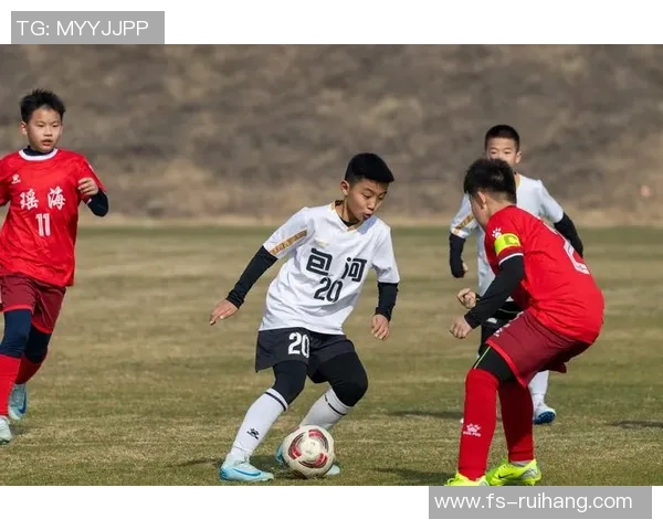 海南青训足球明星名单揭晓新一代足球希望之星齐聚一堂